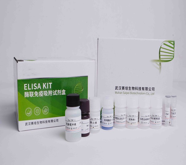 DSCF3390_副本_副本.jpg